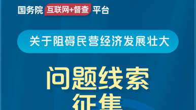 好日屌日日插国务院“互联网+督查”平台公开征集阻碍民营经济发展壮大问题线索